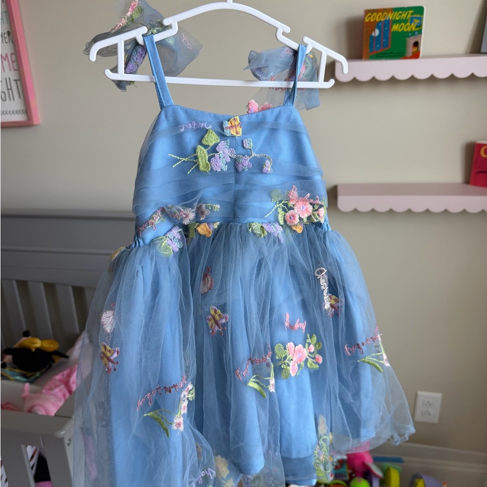 Beautiful Blue Floral Embroidered Tulle Dress